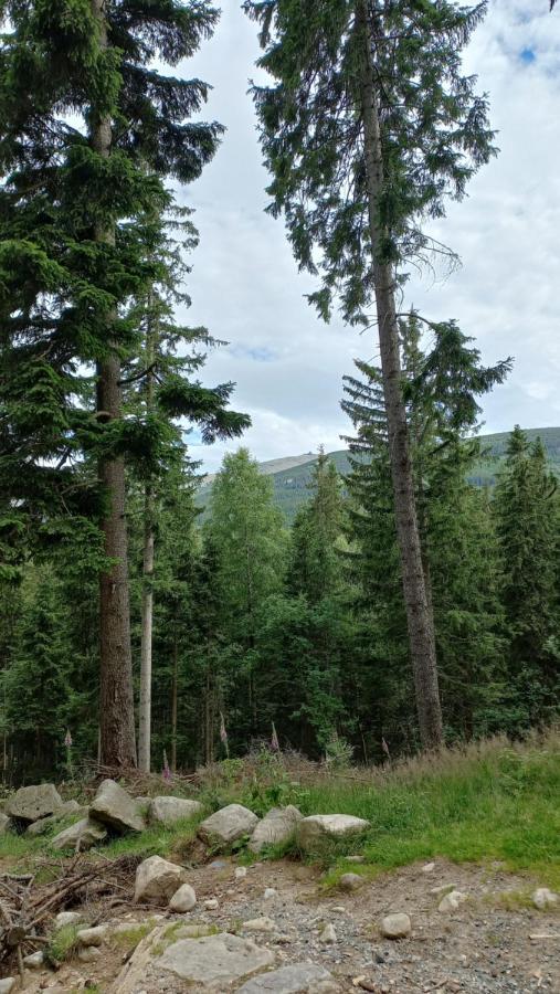 Apartmán Waniliowe Zacisze Jelení Hora Exteriér fotografie